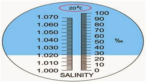 how to calibrate aquarium refractometer|salt refractometer conversion chart.